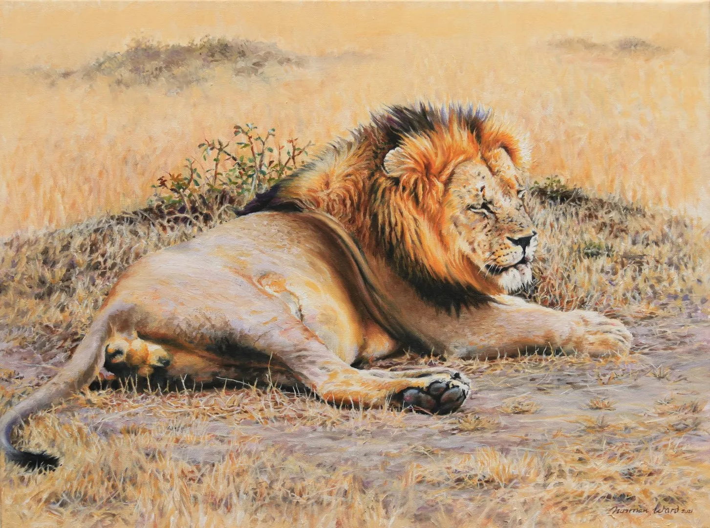 A painting of a Lion in the savannah