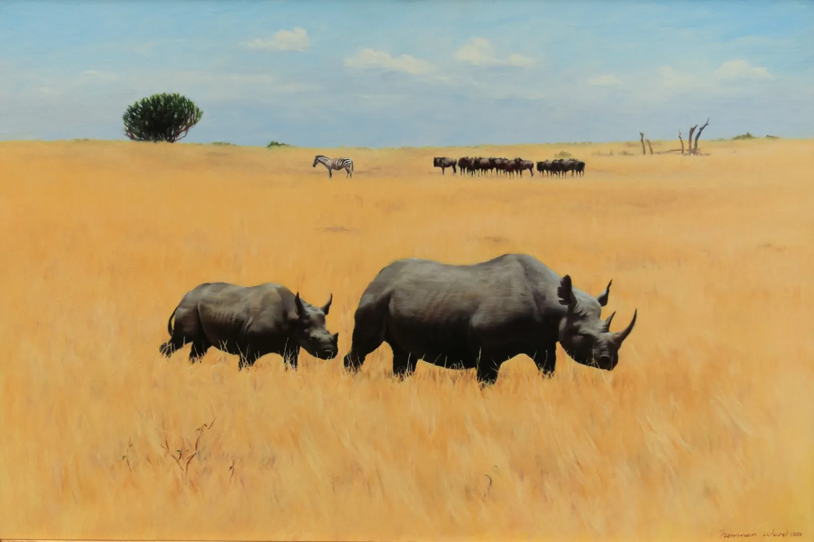 A Norman Ward painting of a buffalo